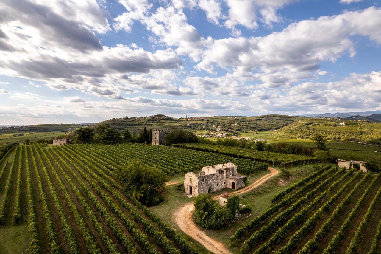 Agriturismo Monte Bisson Soave  Exterior photo