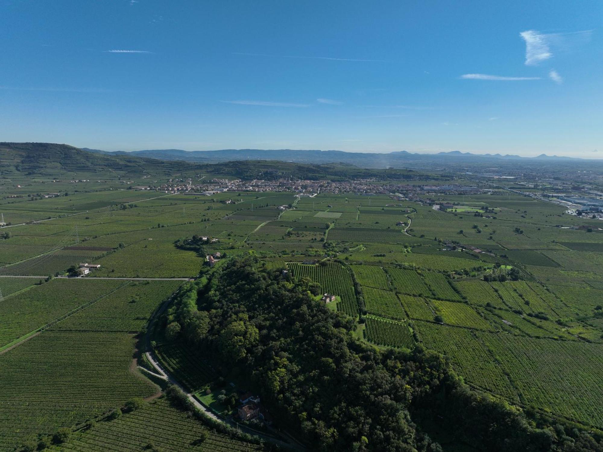 Agriturismo Monte Bisson Soave  Exterior photo