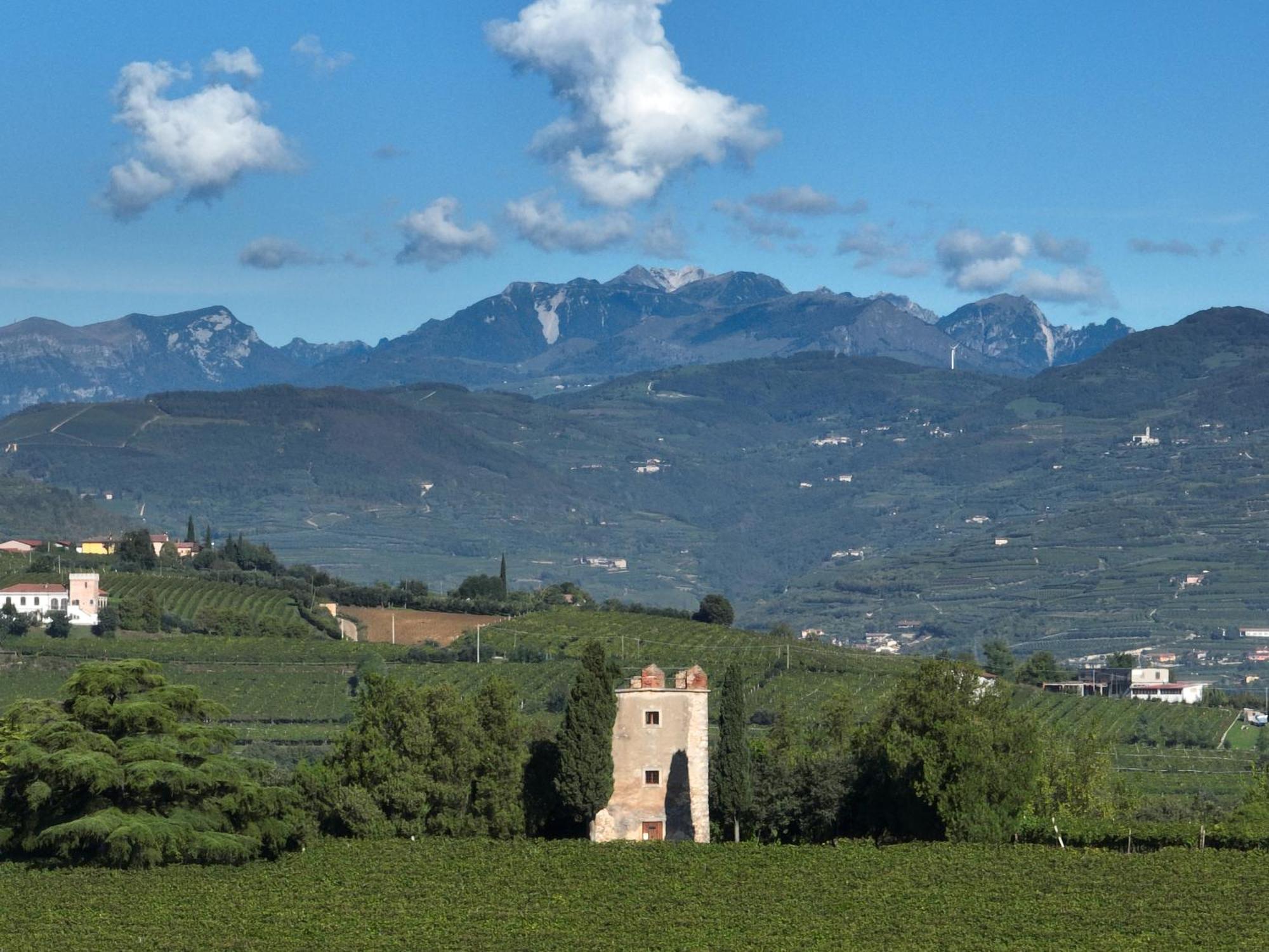 Agriturismo Monte Bisson Soave  Exterior photo